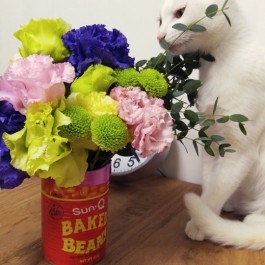 꽃과 고양이