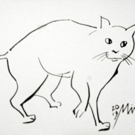 화가 김민지, 고양이의 생명력을 그리다