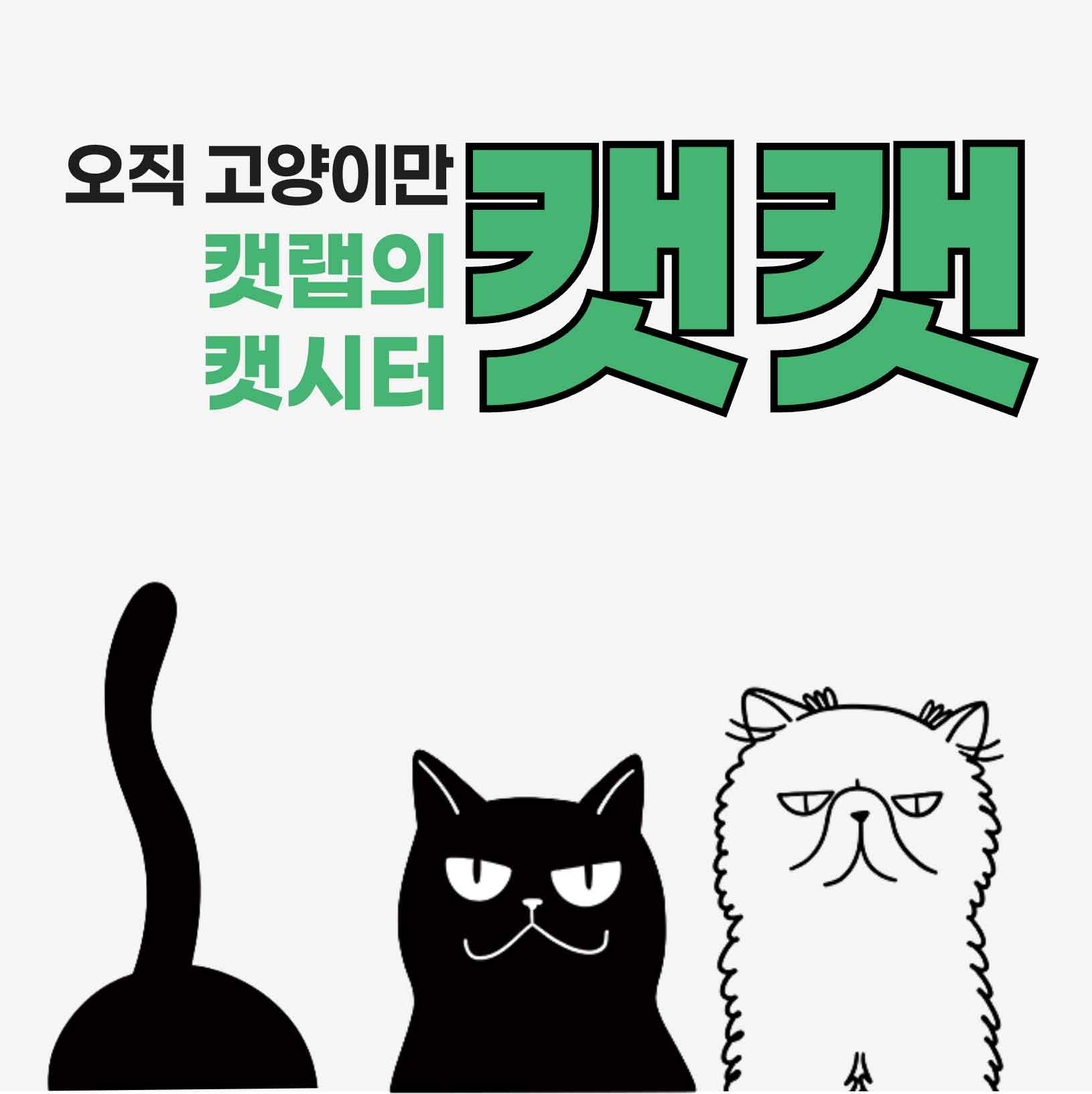 캣랩, 방문 캣시터 서비스 '캣캣' 시작합니다