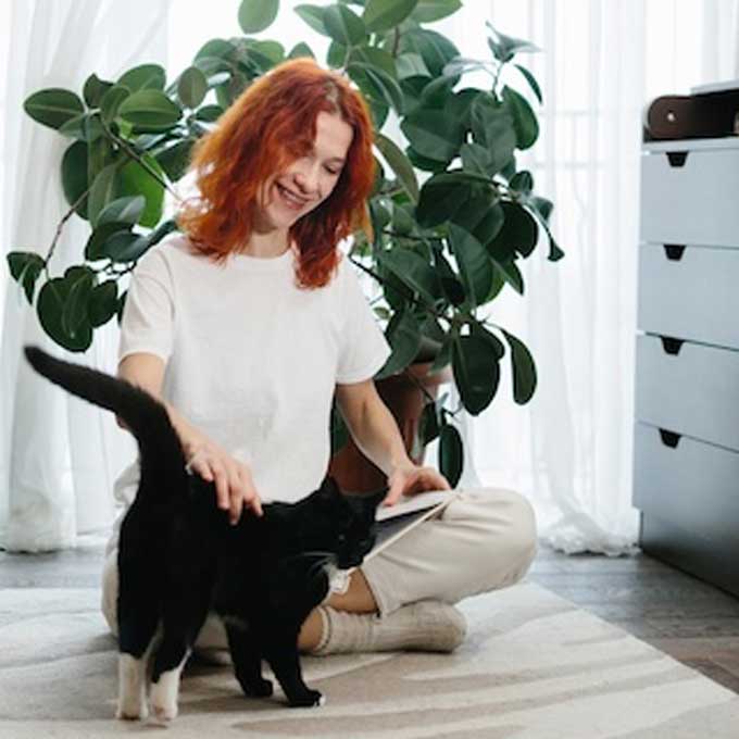 겁도 많고 수줍음도 많은 내향형 고양이와 친해지는 법 3