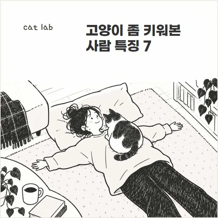 고양이 좀 키워본 사람 특징 7