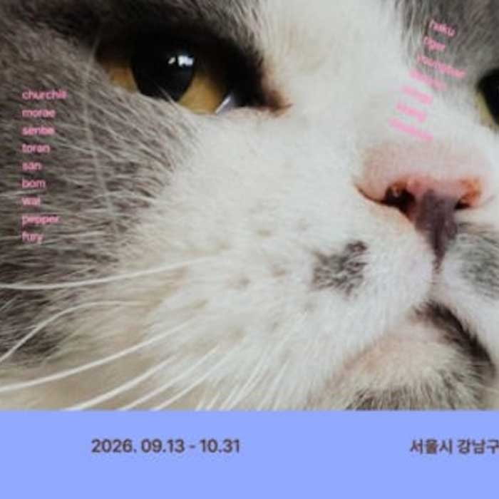 10월 4일 동물보호의 날, 연휴에 동물을 위해 해볼 만한 세 가지
