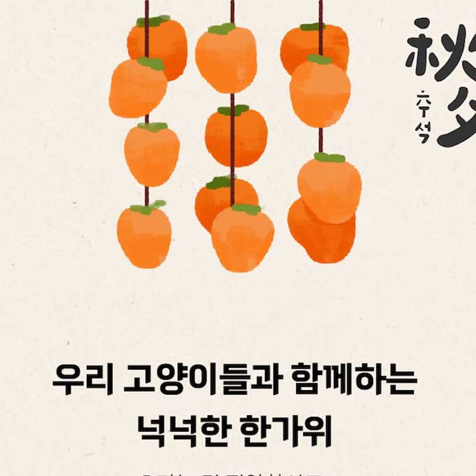 우리의 고양이들과 함께하는 넉넉한 한가위