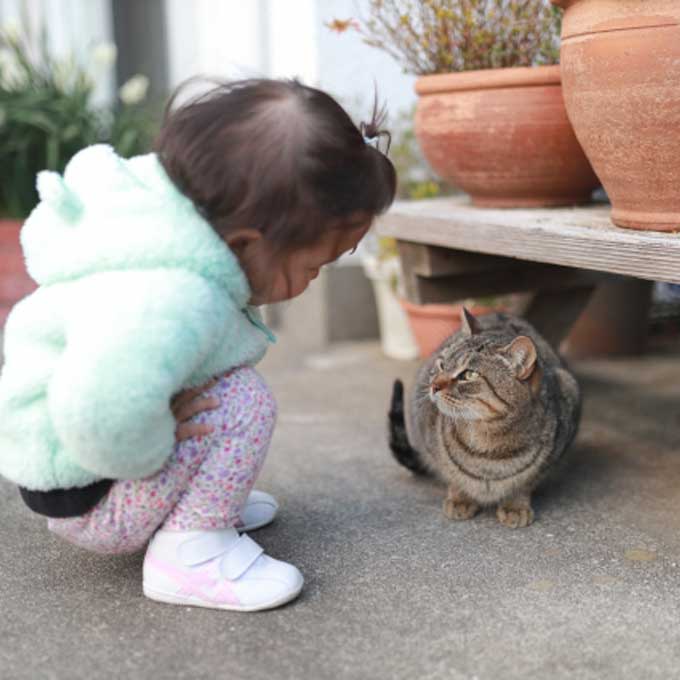 다묘가정 아이, 알레르기성 질환 걱정 뚝!