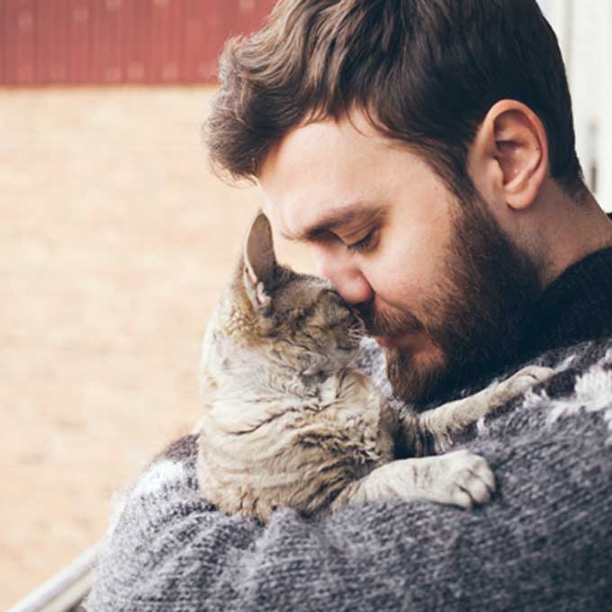집사가 고양이에게 사랑을 전하는 방법 5