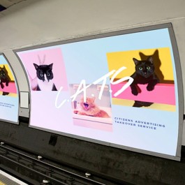 지하철 광고보다 길 잃은 고양이 사진