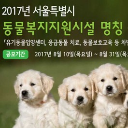 서울시의 동물복지지원시설에 멋진 이름을 지어주세요