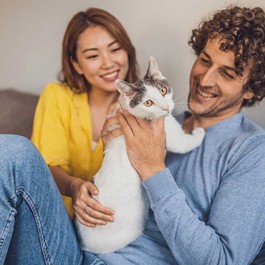 여성은 고양이 같은 사람, 냥을 좋아하는 남성과 여성 특징