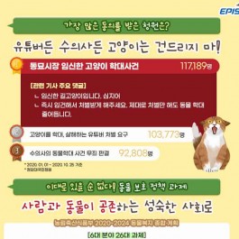SNS 반려동물 언급량 급증, ‘사건·사고’ 관련이 40% 차지
