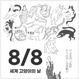 8월 8일 세계 고양이의 날...오늘만큼은 세상 모든 고양이를 위해
