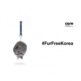 케어, 개·고양이 모피 수입 금지법 통과를 위한 ‘#FurFreeKorea’ 캠페인 펼친다