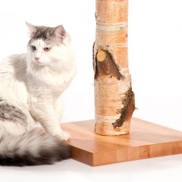 통나무를 있는 그대로 이용해 만든 고양이 스크래처