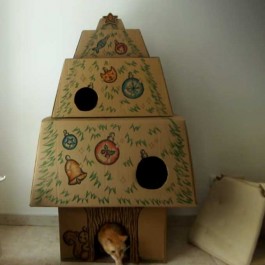 택배상자로 만든 고양이를 위한 크리스마스 트리