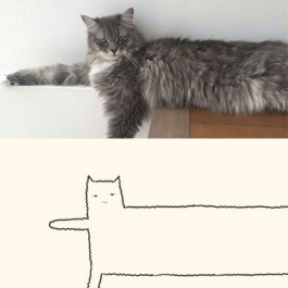 고양이의 힘2, 단순하게 그렸을 뿐인데