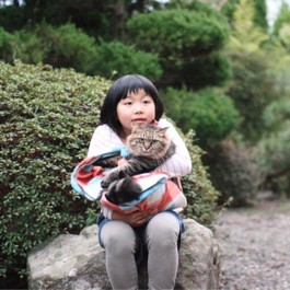 전통 온천 ⅹ 동네 고양이 보호 = 힐링