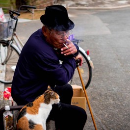 노령묘(老猫)의 마지막을 지켜주는 곳, 고양이 실버타운 ‘도쿄 펫 홈’
