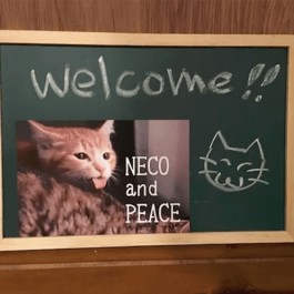 여행지에서 만난 고양이, ‘우리 냥이’가 되다! 고양이 게스트 하우스 ‘CAT’S INN TOKYO