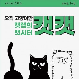 오직 고양이만! 캣랩이 만든 고양이 전문 방문케어, 캣캣