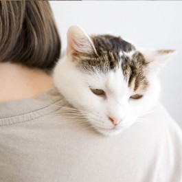 고양이, 함께 살던 댕댕이가 죽어도 슬퍼한다…그렇다면 집사가 죽으면?