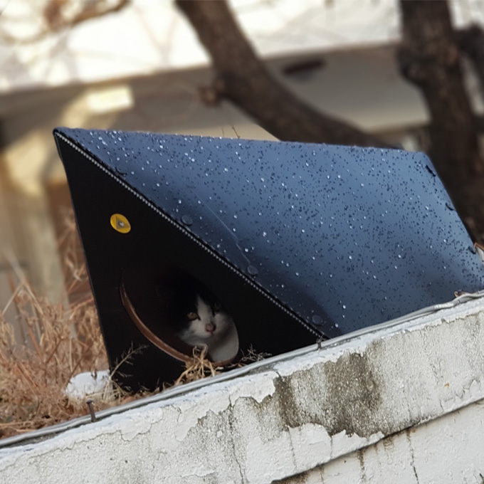 눈,비,추위 걱정 없는 겨울용 캣터_CAT-TER