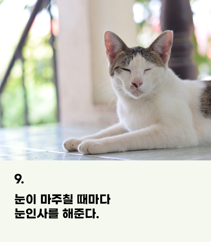 953569d2cbd0098dfd47cbc7870c3259_1755591