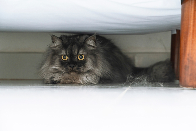 7bd4b57e63b698f9fca0a8192cea210b_1761276