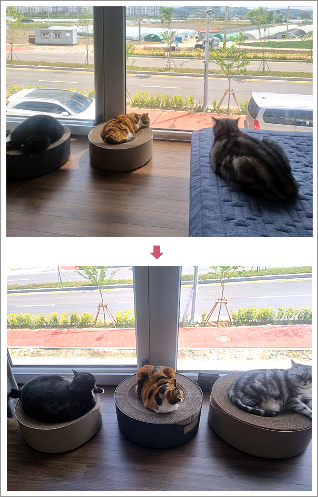 7bd4b57e63b698f9fca0a8192cea210b_1761277