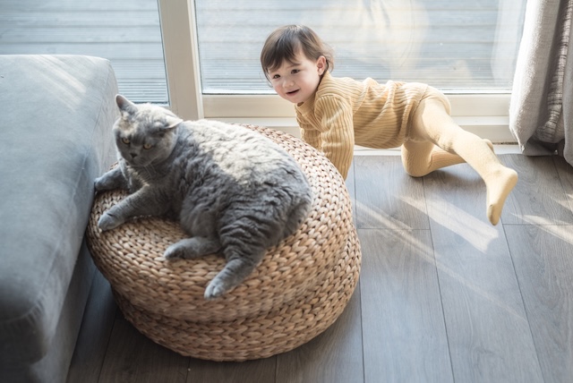 7bd4b57e63b698f9fca0a8192cea210b_1761886338_9338.jpg 7bd4b57e63b698f9fca0a8192cea210b_1761886