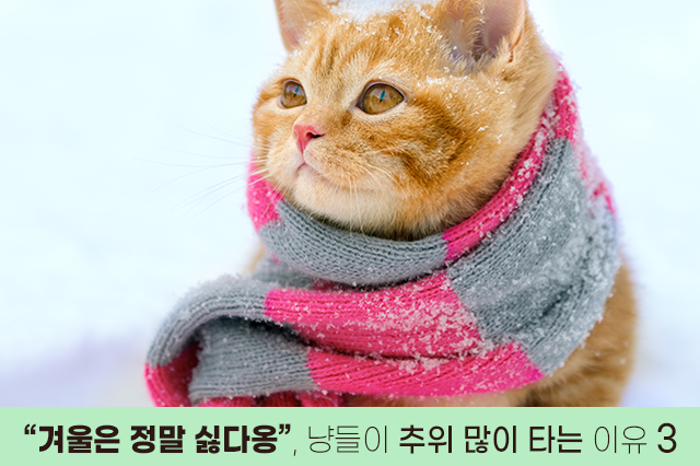 7bd4b57e63b698f9fca0a8192cea210b_1761886635_905.jpg 7bd4b57e63b698f9fca0a8192cea210b_1761886