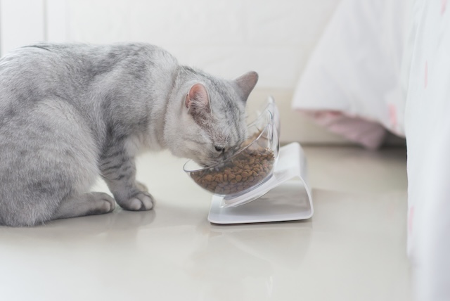 7bd4b57e63b698f9fca0a8192cea210b_1762141