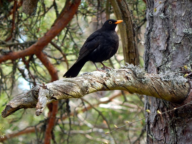 7bd4b57e63b698f9fca0a8192cea210b_1762518255_2896.jpg 7bd4b57e63b698f9fca0a8192cea210b_1762518