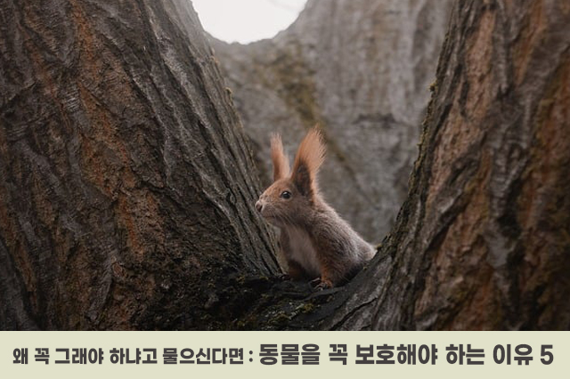 7bd4b57e63b698f9fca0a8192cea210b_1762567979_7862.jpg 7bd4b57e63b698f9fca0a8192cea210b_1762567