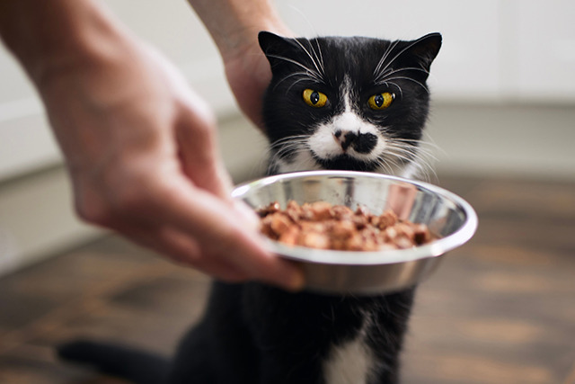 7bd4b57e63b698f9fca0a8192cea210b_1762832376_9307.jpeg 7bd4b57e63b698f9fca0a8192cea210b_1762832