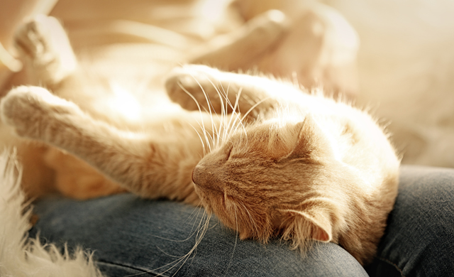 7bd4b57e63b698f9fca0a8192cea210b_1763400687_9398.jpg 7bd4b57e63b698f9fca0a8192cea210b_1763400