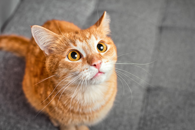 7bd4b57e63b698f9fca0a8192cea210b_1763400995_571.jpg 7bd4b57e63b698f9fca0a8192cea210b_1763400