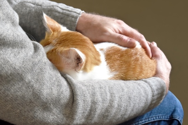 7bd4b57e63b698f9fca0a8192cea210b_1763876