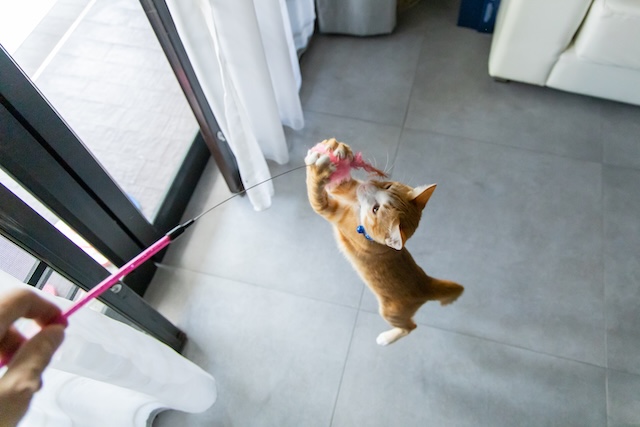 7bd4b57e63b698f9fca0a8192cea210b_1764046