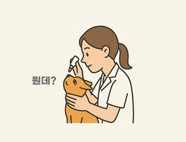 7bd4b57e63b698f9fca0a8192cea210b_1764480