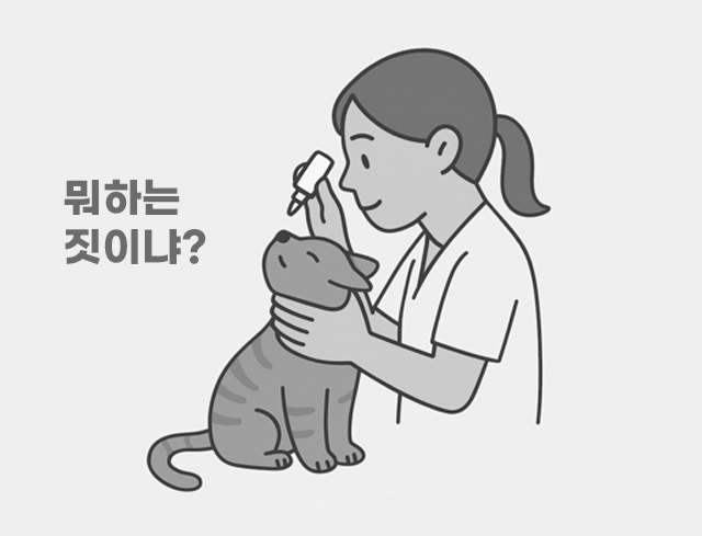 7bd4b57e63b698f9fca0a8192cea210b_1764480