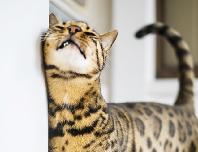 7bd4b57e63b698f9fca0a8192cea210b_1764734592_4655.jpg 7bd4b57e63b698f9fca0a8192cea210b_1764734