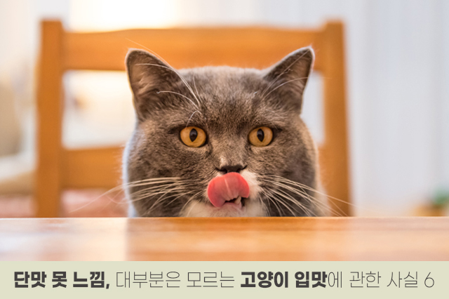 7bd4b57e63b698f9fca0a8192cea210b_1764991988_9363.jpg 7bd4b57e63b698f9fca0a8192cea210b_1764991