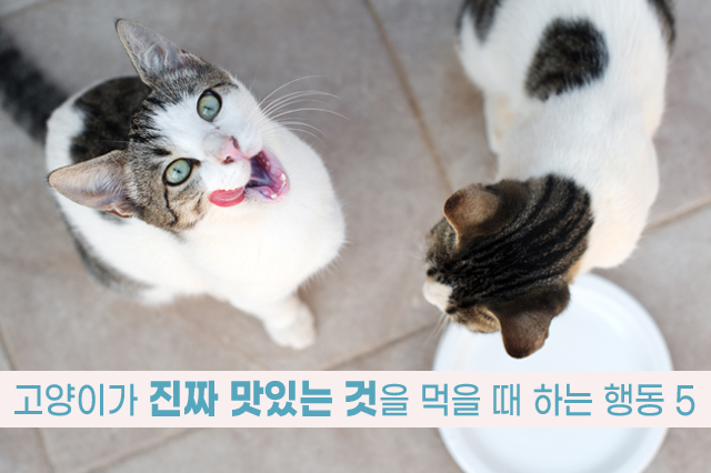 7bd4b57e63b698f9fca0a8192cea210b_1764992152_9609.jpg 7bd4b57e63b698f9fca0a8192cea210b_1764992