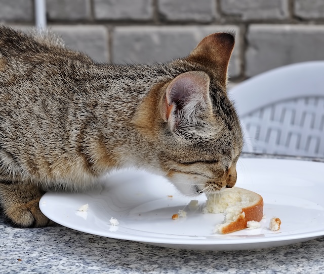 7bd4b57e63b698f9fca0a8192cea210b_1765213278_5015.jpg 7bd4b57e63b698f9fca0a8192cea210b_1765213