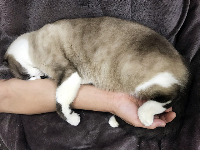 7bd4b57e63b698f9fca0a8192cea210b_1765690442_8946.jpeg 7bd4b57e63b698f9fca0a8192cea210b_1765690