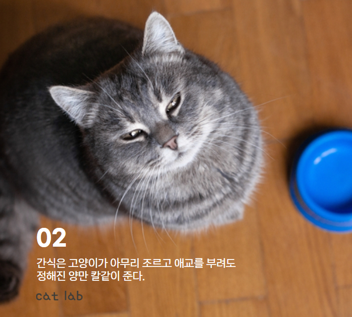 7bd4b57e63b698f9fca0a8192cea210b_1765856430_12.jpg 7bd4b57e63b698f9fca0a8192cea210b_1765856