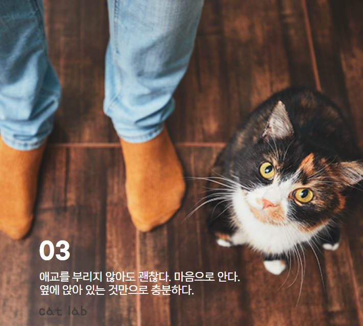 7bd4b57e63b698f9fca0a8192cea210b_1765856430_2653.jpg 7bd4b57e63b698f9fca0a8192cea210b_1765856