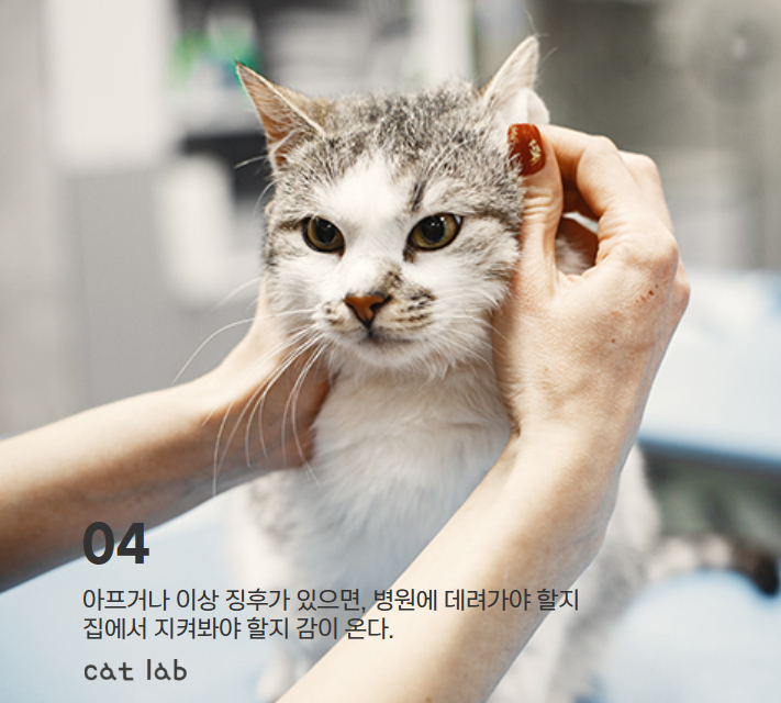 7bd4b57e63b698f9fca0a8192cea210b_1765856430_368.jpg 7bd4b57e63b698f9fca0a8192cea210b_1765856