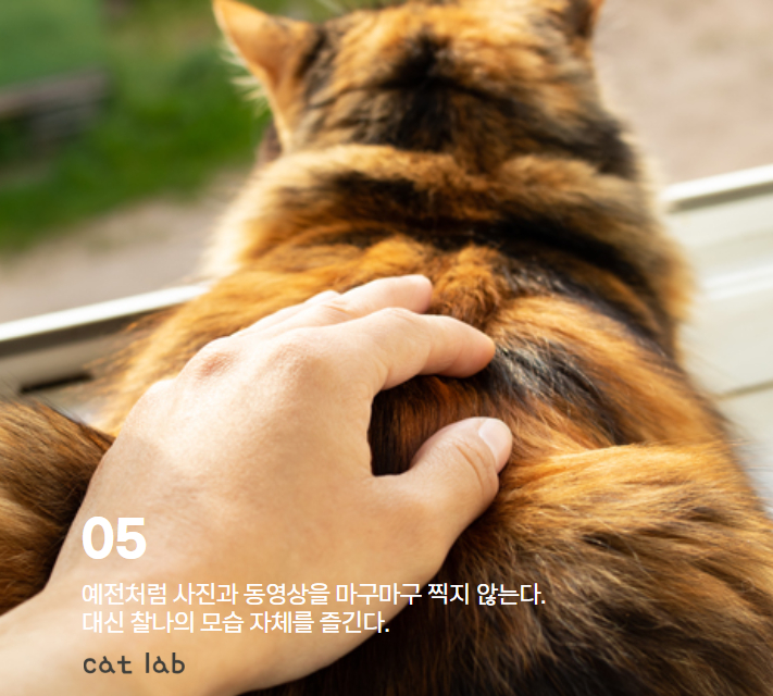 7bd4b57e63b698f9fca0a8192cea210b_1765856430_4851.jpg 7bd4b57e63b698f9fca0a8192cea210b_1765856