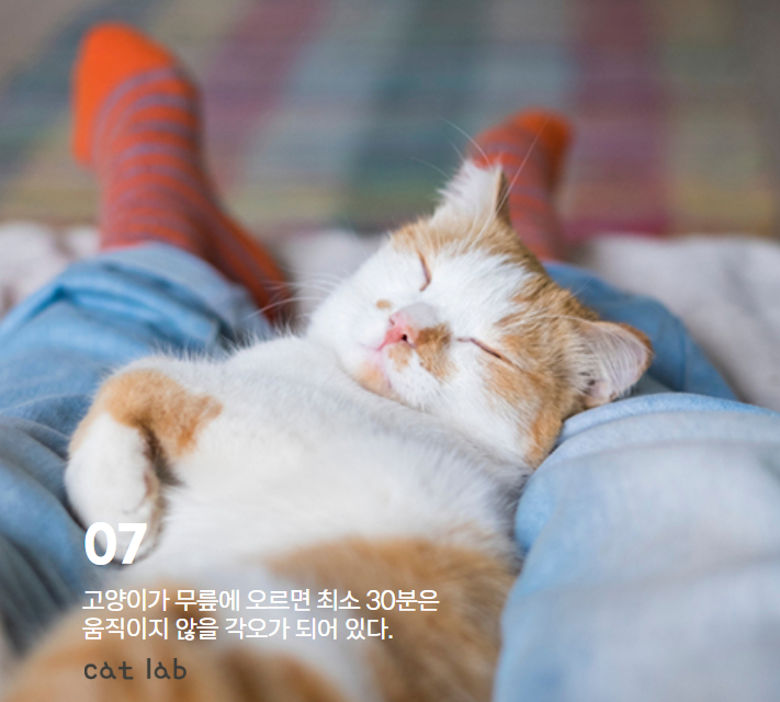 7bd4b57e63b698f9fca0a8192cea210b_1765856430_6666.jpg 7bd4b57e63b698f9fca0a8192cea210b_1765856