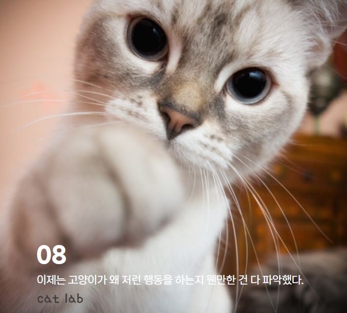 7bd4b57e63b698f9fca0a8192cea210b_1765856430_7689.jpg 7bd4b57e63b698f9fca0a8192cea210b_1765856